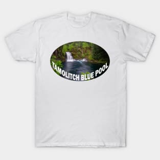 Tamolitch Falls- Blue Pool Oregon T-Shirt